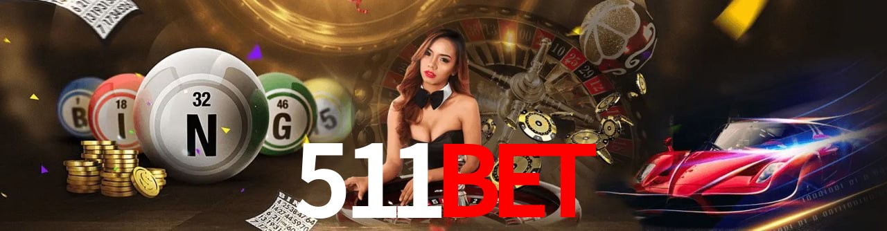 Segurança e performance na plataforma 511BET